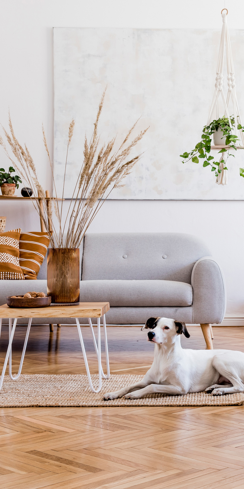 sofa